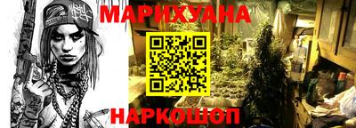 прущие крисы Нарткала