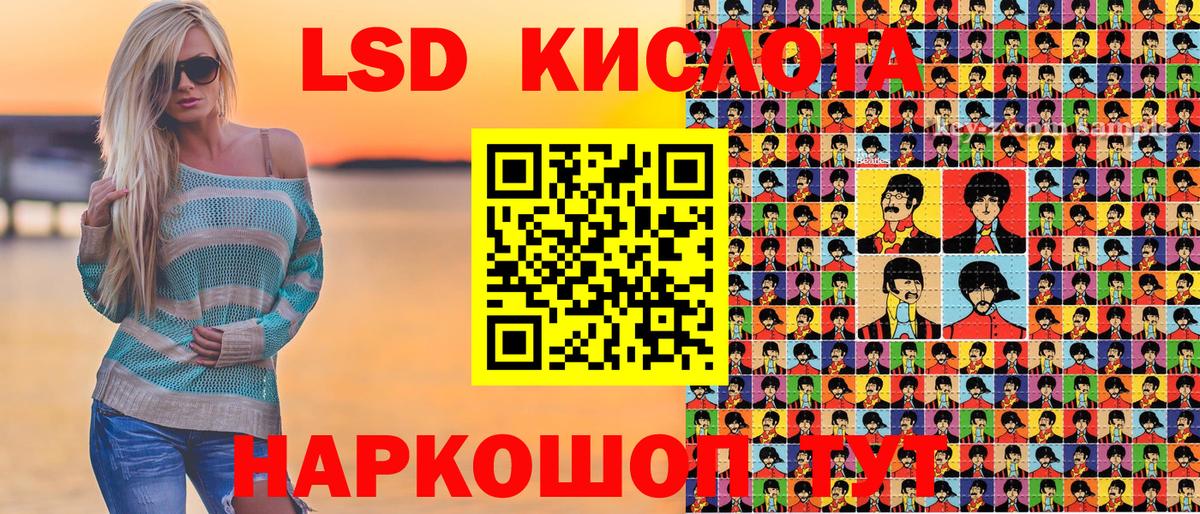 где можно купить наркотик  Наркотические марки 1,8мг  Вход с VPN  Наркотические марки 1,8мг  Владивосток 